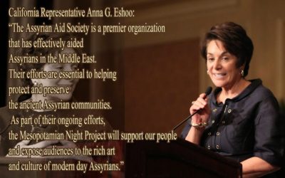 Mesopotamian Night Testimonial